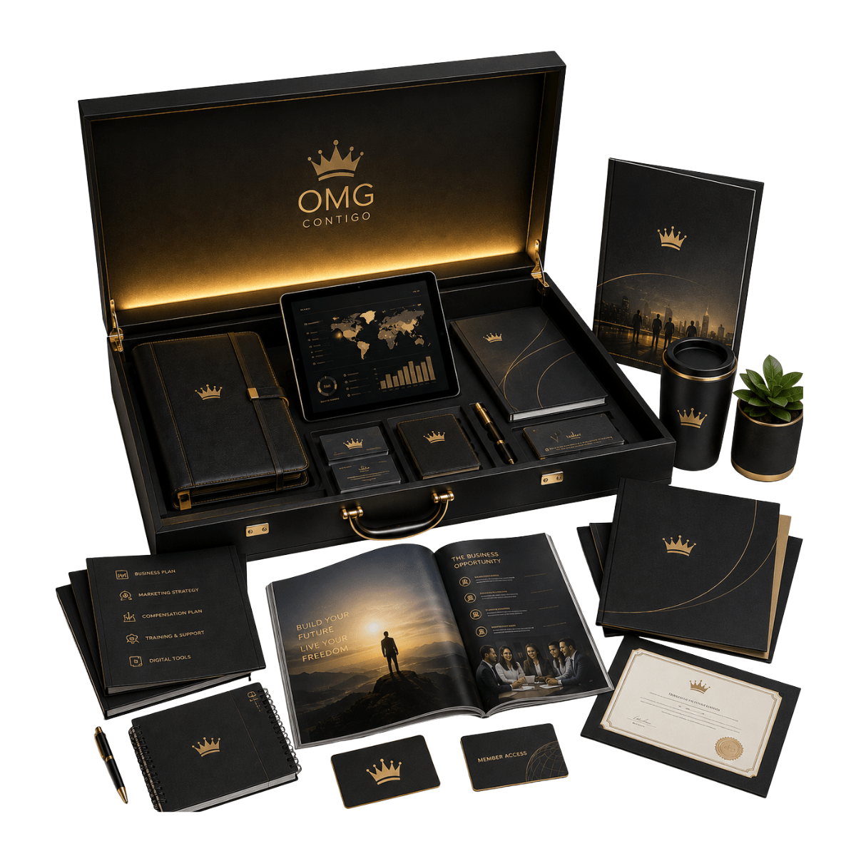 Entrepreneur Package